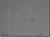 Filename=7233_r_64.jpg
Filesize=33KB
Dimensions=768x576
Date added=Sep 12, 2006 7233_r_64.jpg